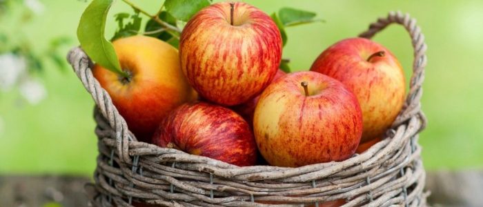 Яблоки и подагра: лечебные свойства фрукта и его влияние на развитие болезни, способы и нормы потребления, полезные рецепты и меры предосторожности